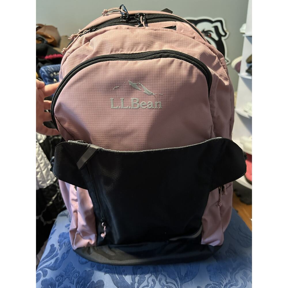 LL Bean Pink Hiking Day Trekking Backpack